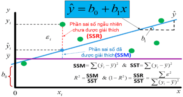 Phân tích Nonlinear Regression trong R  w3seo hồi quy phi tuyến tính