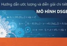 Hướng dẫn thực hiện và đọc kết quả ước lượng mô hình DSGE trên Stata 15